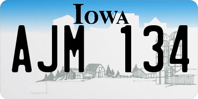 IA license plate AJM134