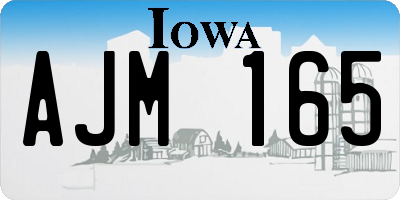 IA license plate AJM165