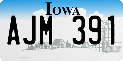 IA license plate AJM391