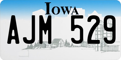 IA license plate AJM529
