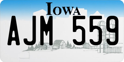 IA license plate AJM559