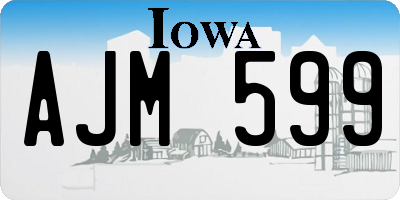 IA license plate AJM599
