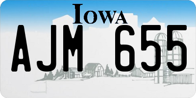 IA license plate AJM655