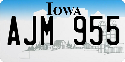 IA license plate AJM955