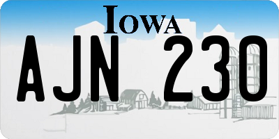 IA license plate AJN230