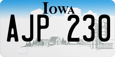 IA license plate AJP230