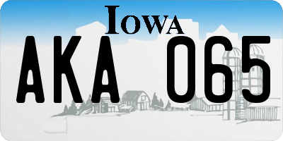 IA license plate AKA065