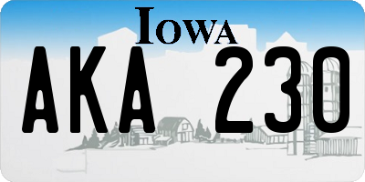 IA license plate AKA230