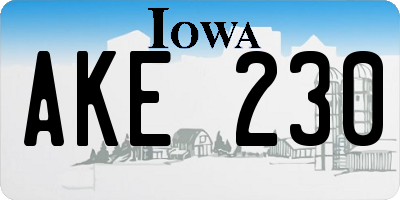 IA license plate AKE230