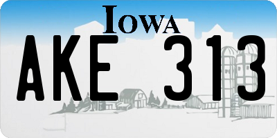 IA license plate AKE313