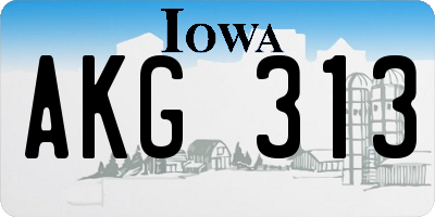 IA license plate AKG313