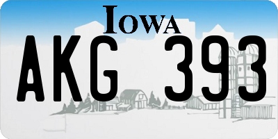 IA license plate AKG393