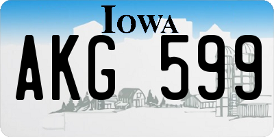 IA license plate AKG599