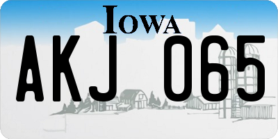 IA license plate AKJ065