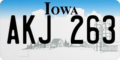 IA license plate AKJ263