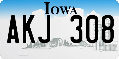 IA license plate AKJ308