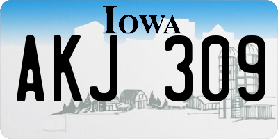 IA license plate AKJ309