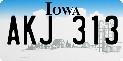 IA license plate AKJ313