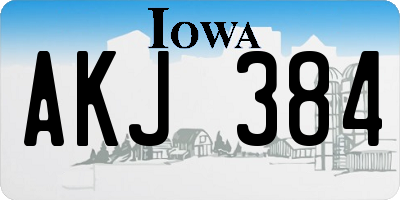 IA license plate AKJ384