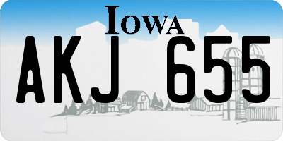 IA license plate AKJ655