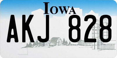 IA license plate AKJ828