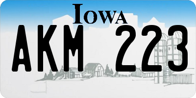 IA license plate AKM223
