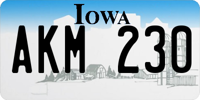 IA license plate AKM230