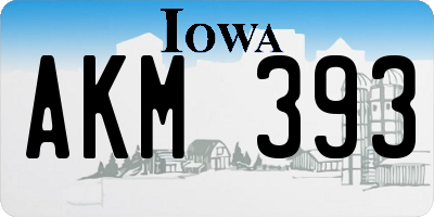 IA license plate AKM393