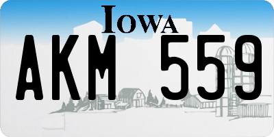 IA license plate AKM559