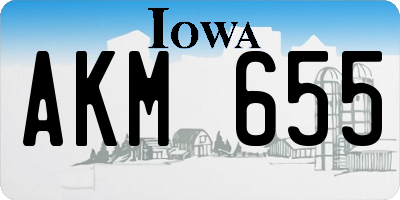 IA license plate AKM655