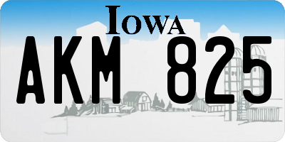 IA license plate AKM825