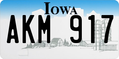 IA license plate AKM917