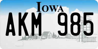 IA license plate AKM985