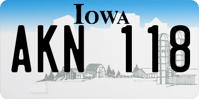 IA license plate AKN118