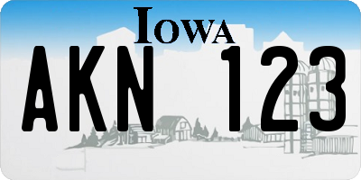 IA license plate AKN123