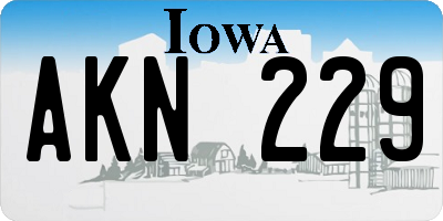 IA license plate AKN229