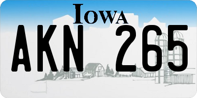 IA license plate AKN265