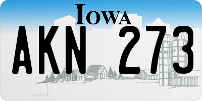 IA license plate AKN273