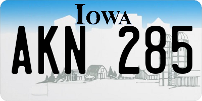 IA license plate AKN285