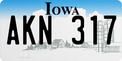 IA license plate AKN317