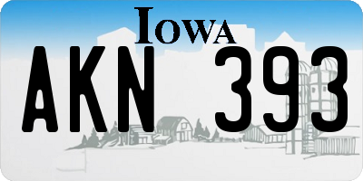 IA license plate AKN393