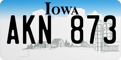 IA license plate AKN873