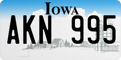 IA license plate AKN995