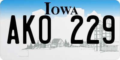 IA license plate AKO229