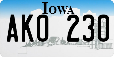 IA license plate AKO230
