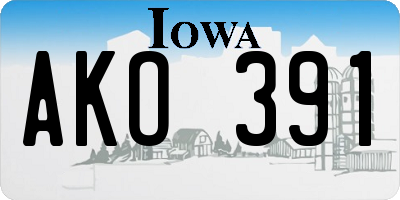 IA license plate AKO391