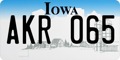 IA license plate AKR065