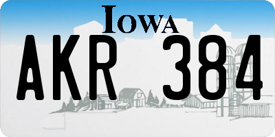 IA license plate AKR384