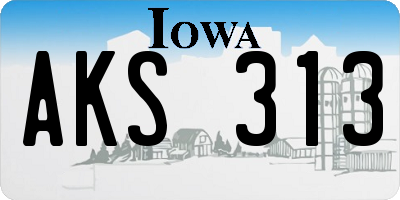 IA license plate AKS313