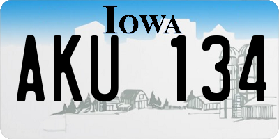 IA license plate AKU134